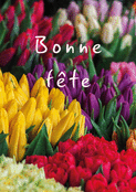 Tulipes multicolores pour mamie ch&eacute;rie